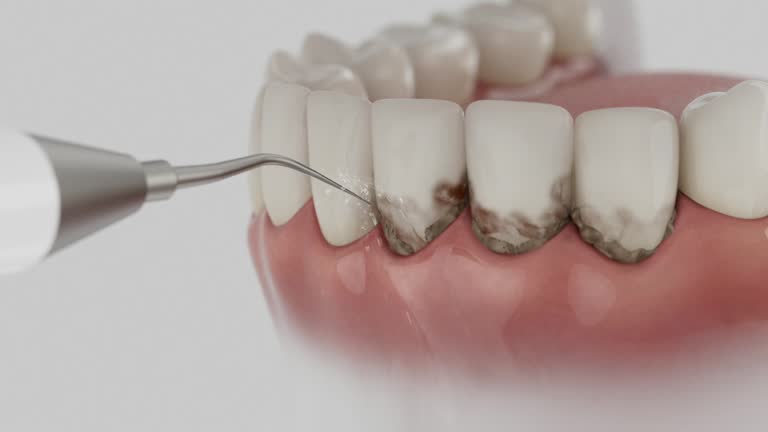 Reliable Dental contractor in Potomac, MD by Dentist Open Now